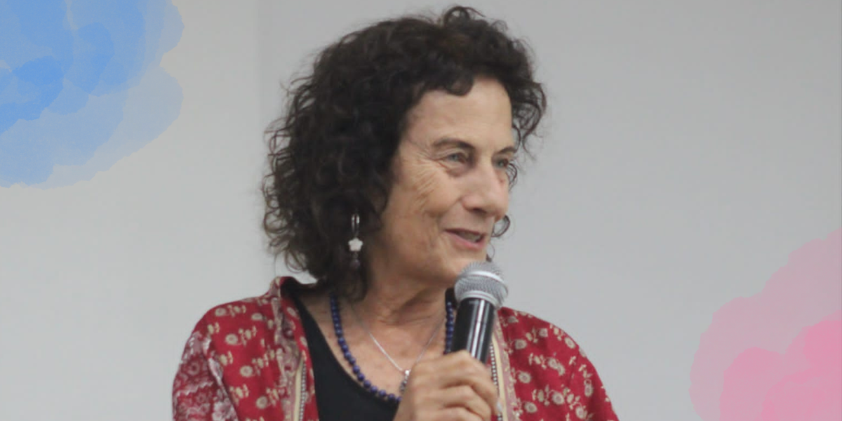 Irene Rizzini participa do I Seminário Estadual dos Direitos das ...